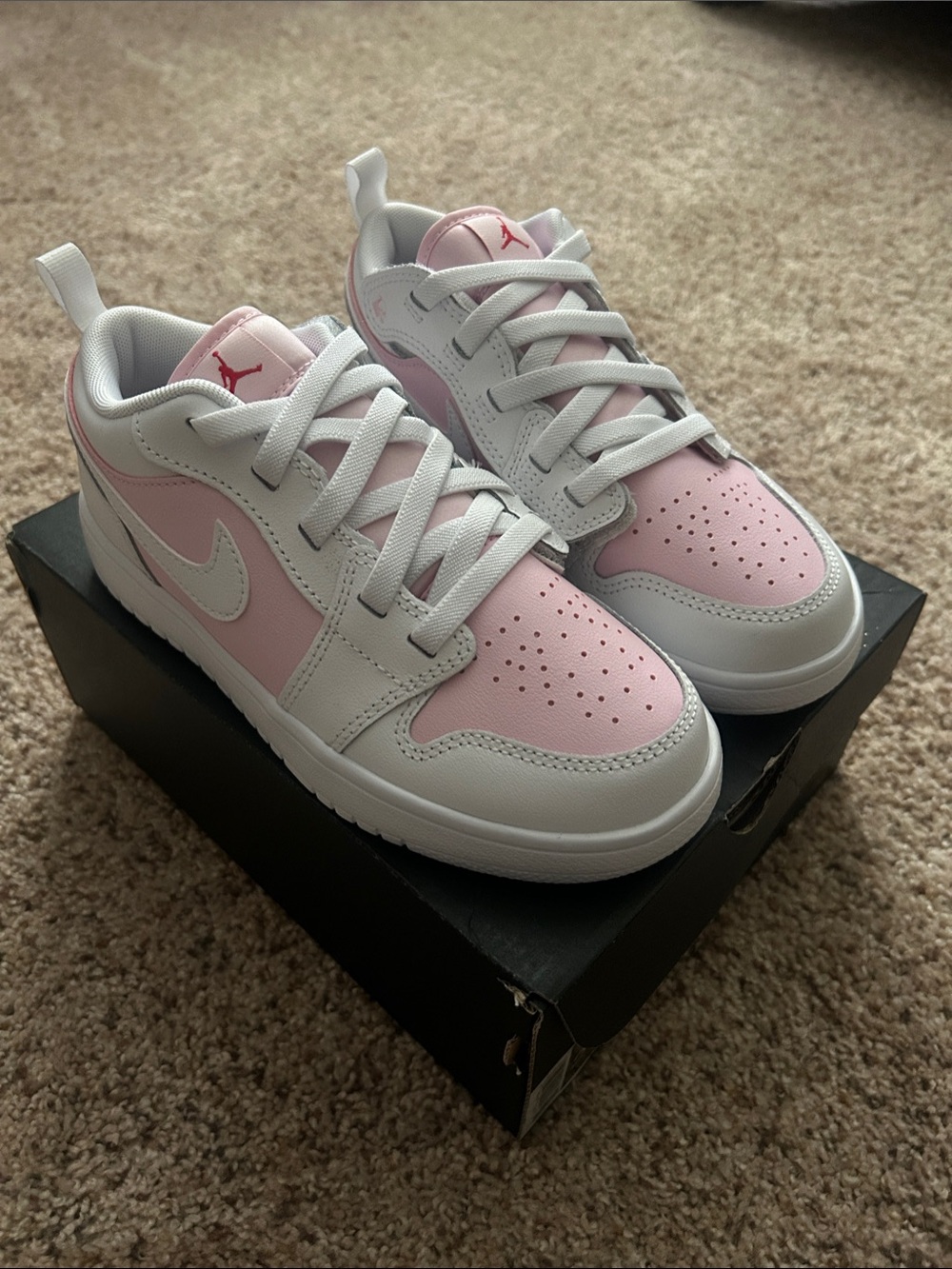 Jordan 1 Low ALT